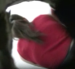 A woman is observed pooping into a toilet in a public restroom through a hole in the wall in this voyeuristic-styled video clip.